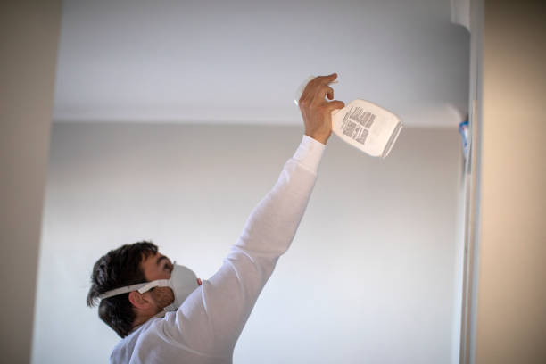 Best Best Mold Removal Companies  in Nneconne, WI