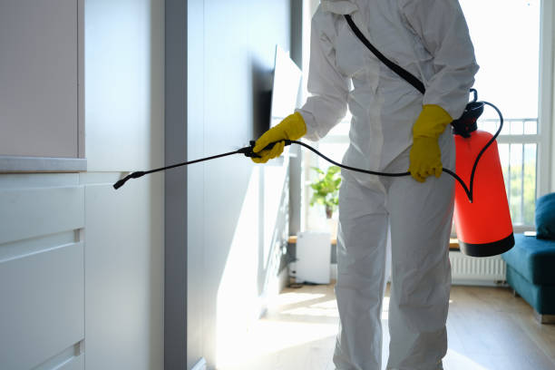Best Mold Cleaning Services  in Nneconne, WI