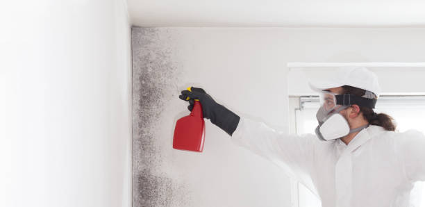 Best Professional Mold Removal  in Nneconne, WI